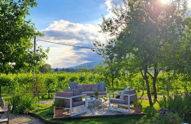 Casadesergio - Photo 43