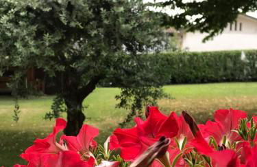 Casa Gina & Jeto - Foto 1