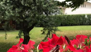 Casa Gina & Jeto - Foto 1