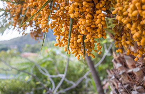 Villino Beatrice Fetovaia - Photo 25