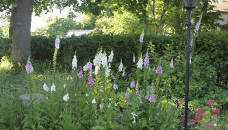 Ferienwohnung Mühlenweg - Foto 5