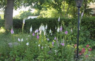 Ferienwohnung Mühlenweg - Foto 5