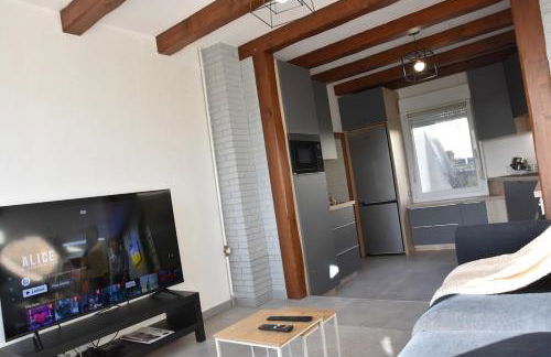 Le Nid des Cigognes avec terrace - Photo 9