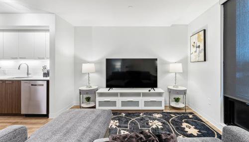 Furnished Luxury Apartment Next to Harvard Stadium - Foto 3, Other