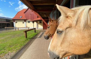 Heidegut Eschede Reitsportanlage und Feriendorf - Foto 45