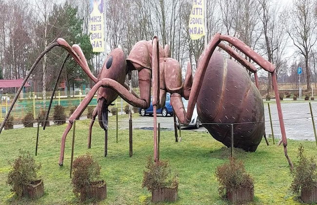 Appartementhaus in Trassenheide - Foto 30