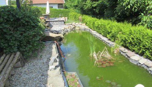 Ferienwohnungen Fuchshuber - Foto 5, Garden view