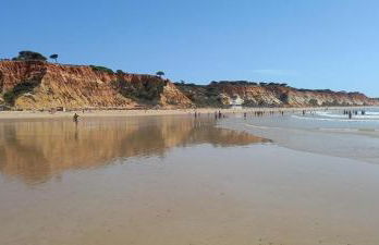 Varanda para o Mar - Foto 24