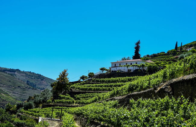 Quinta de la Rosa - Foto 52