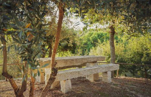 I Love Dão - Casas Da Fraga - Foto 70