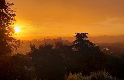 Le Rondini - Foto 16