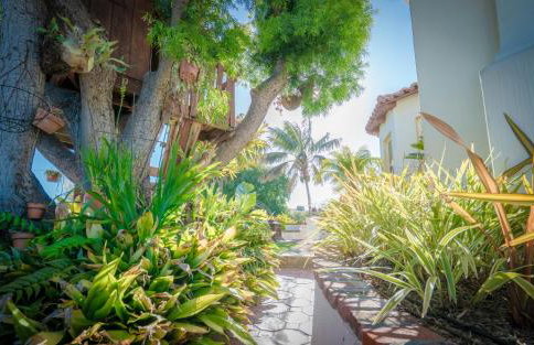 Mediterranean-Style Villa in Point Loma - Foto 37