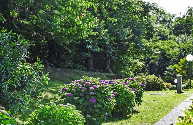 La Romantica - Foto 24