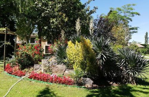 Reflet De PROVENCE dans cadre de verdure avec piscine chauffée - Photo 74