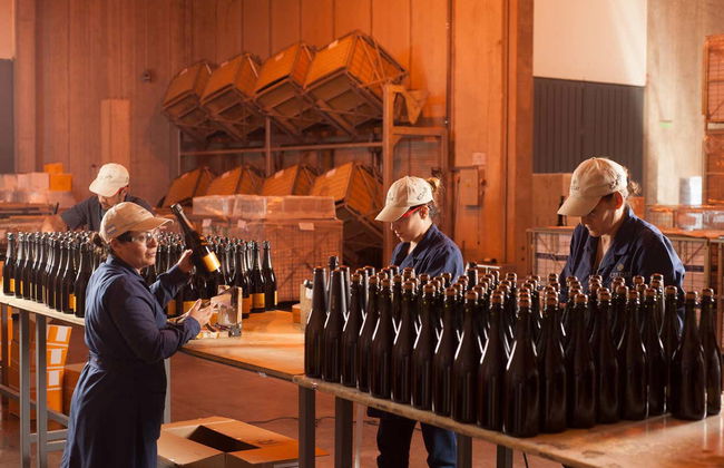 Tour privado pelas vinícolas de Luján de Cuyo + Degustação de espumantes - Foto 6