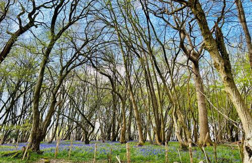 The Old Workshop, Wadhurst - Photo 5