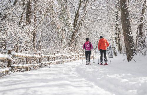 Baumgartnerhof - Foto 31