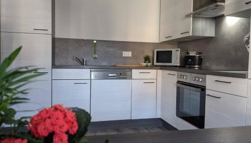 Großzügige 3-Zimmer-Wohnung im Taunus - 2 Bäder & Familienfreundlich - Foto 4, stove, dishwasher, pet friendly, toaster, minibar