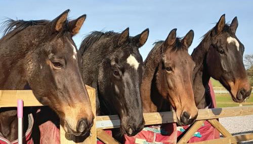 Driftway Stables Retreat - Foto 2