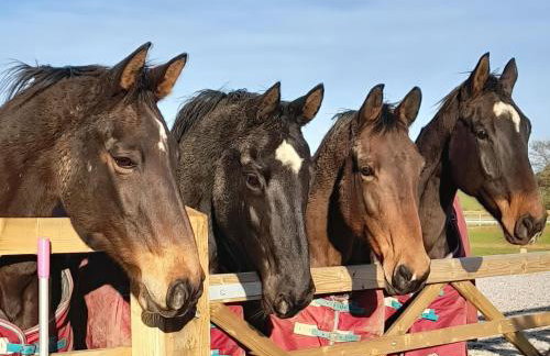 Driftway Stables Retreat - Foto 2