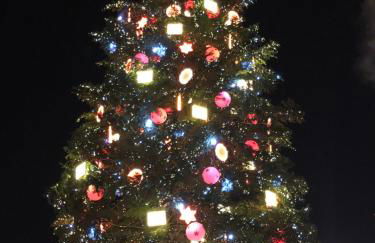 T2 - Balcon -15 min centre ville et Allemagne - Foto 35