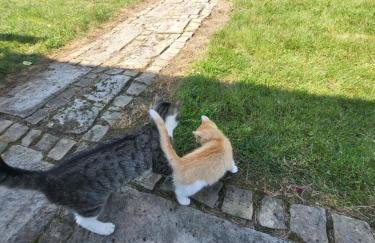 Apartament Różane Wzgórze - Foto 43