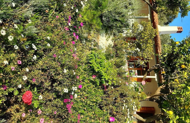 Paradise Found - A Greek Retreat With The View - Foto 24