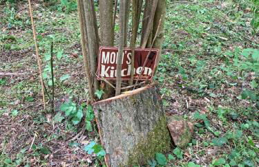 Ferienhaus Fuxbau - Foto 53