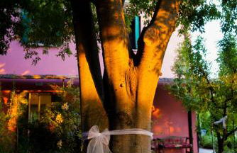 Settecentoalberi Agriturismo - Foto 14