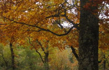 Alojamientos El Horno - Foto 66