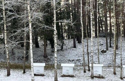 Domek w Zakątku Andrzeje Śniczany 18 - Photo 61