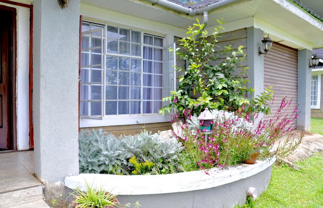 Lamanis Haven - Foto 29