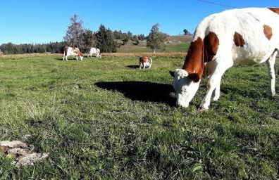 L étincelle du Manon - Foto 23