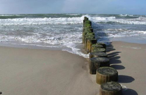 Wohnung nahe Ostsee Graal Müritz Strand - Photo 24