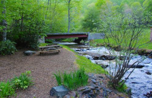 Roaring Creek - Photo 40