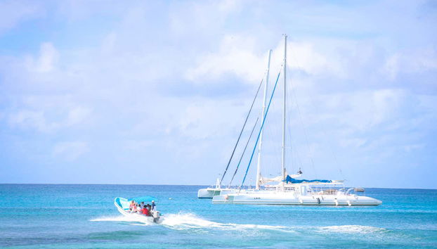 Lancha y catamarán para la actividad