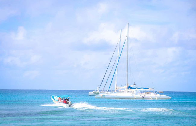 Excursión a isla Saona en catamarán - Foto 4