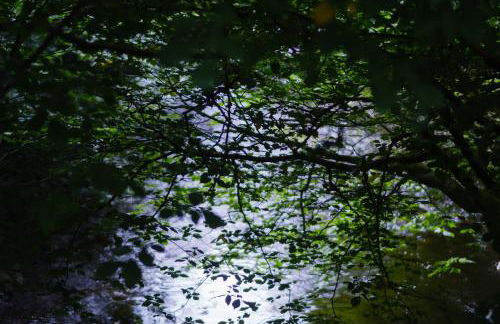 Tig Cottage - a rural, quirky, pet friendly 2 bedroom cottage near Ballantrae - Foto 42