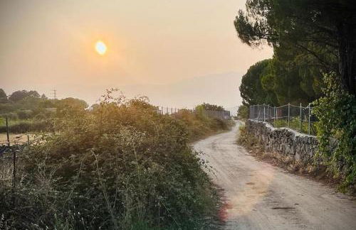 El Pinar del Rondero J&M En Plena Naturaleza - Photo 35