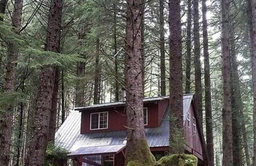 Charming A-Frame Cabin Rental on Prince of Wales Island in Hollis, Alaska - Foto 13