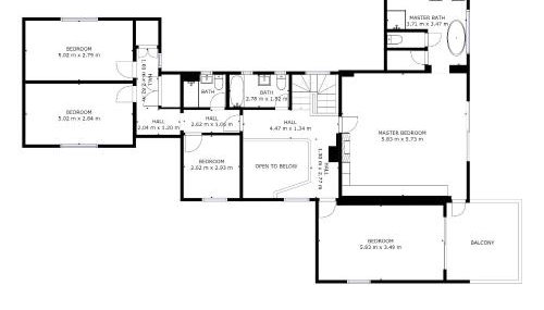 Snow Goose - Foto 5, Other