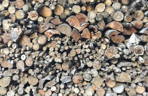 O Muíño da Balsiña - Foto 50