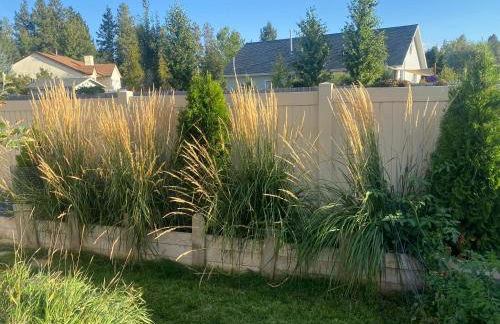 Grizzly Glacier - Foto 14