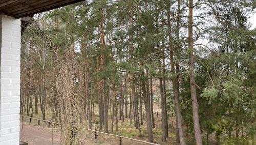 Apartament Jeziorna - Foto 3