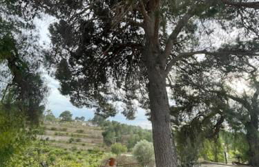 La Muntanya alojamiento rural turistico vacacional - Foto 71