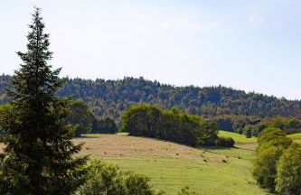 LA BATISSE l'arbre gris - Foto 7