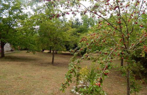 Marina's Stone Cottage - Foto 56