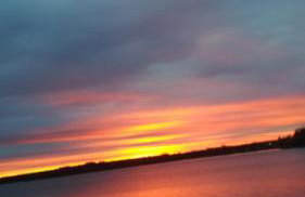 Zielona Ostoja - Foto 8