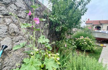 Apartman Mira - Photo 40