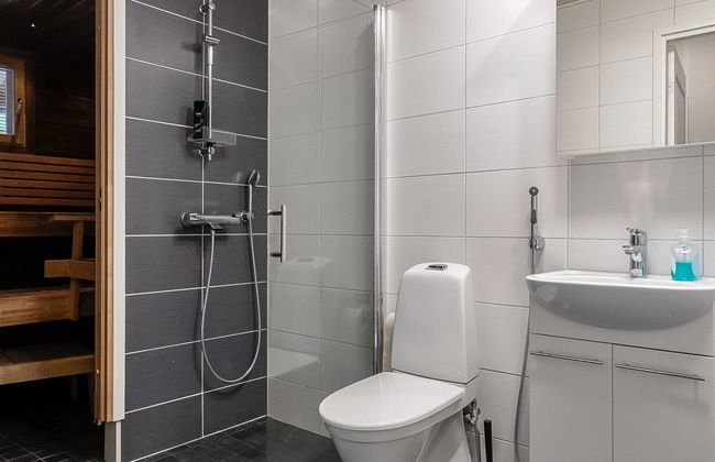 Levin revontulitaivas a - Foto 12